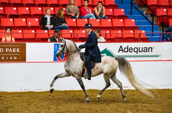 Ginny stride out 1 wp