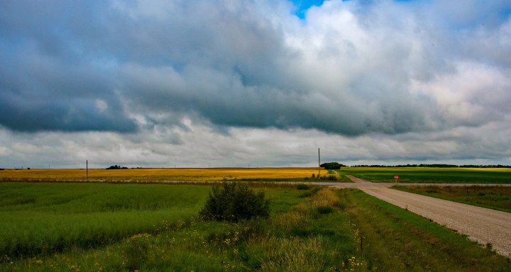 Manitoba fields 2wp