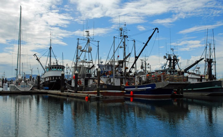 Bellingham Harbor 1 wp