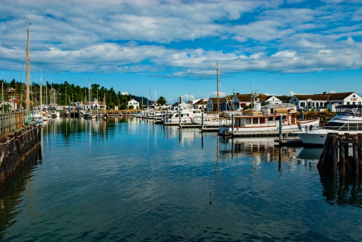 Port Townsend Harbor 1wp