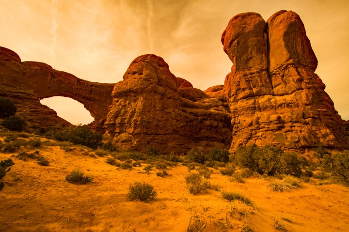 Out of this world wp