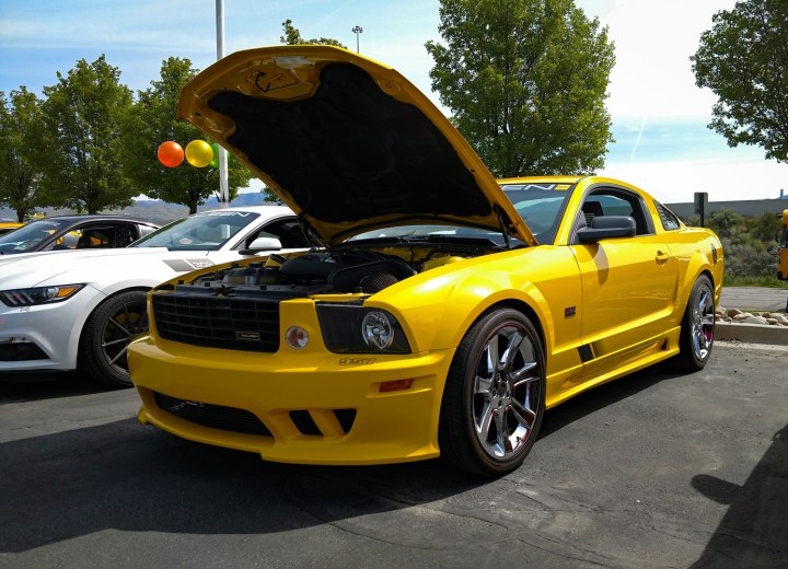 Dave Saleen 1wp