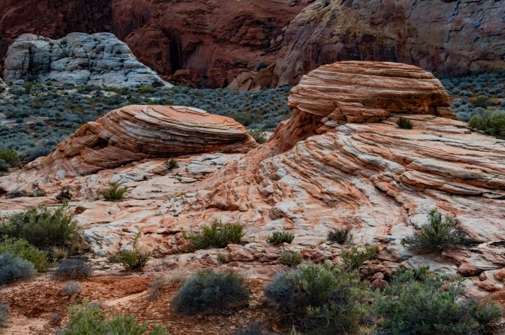 Bumps and stripes wp