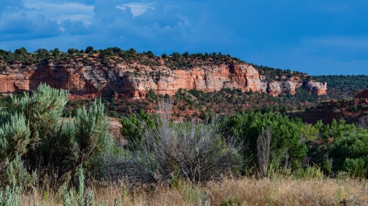 Angel Canyon Vista 1