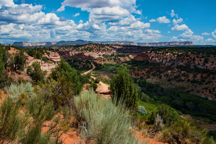 Angel Canyon Vista 2