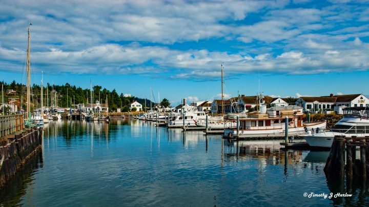 Port Townsend Harbor 1 169 wp